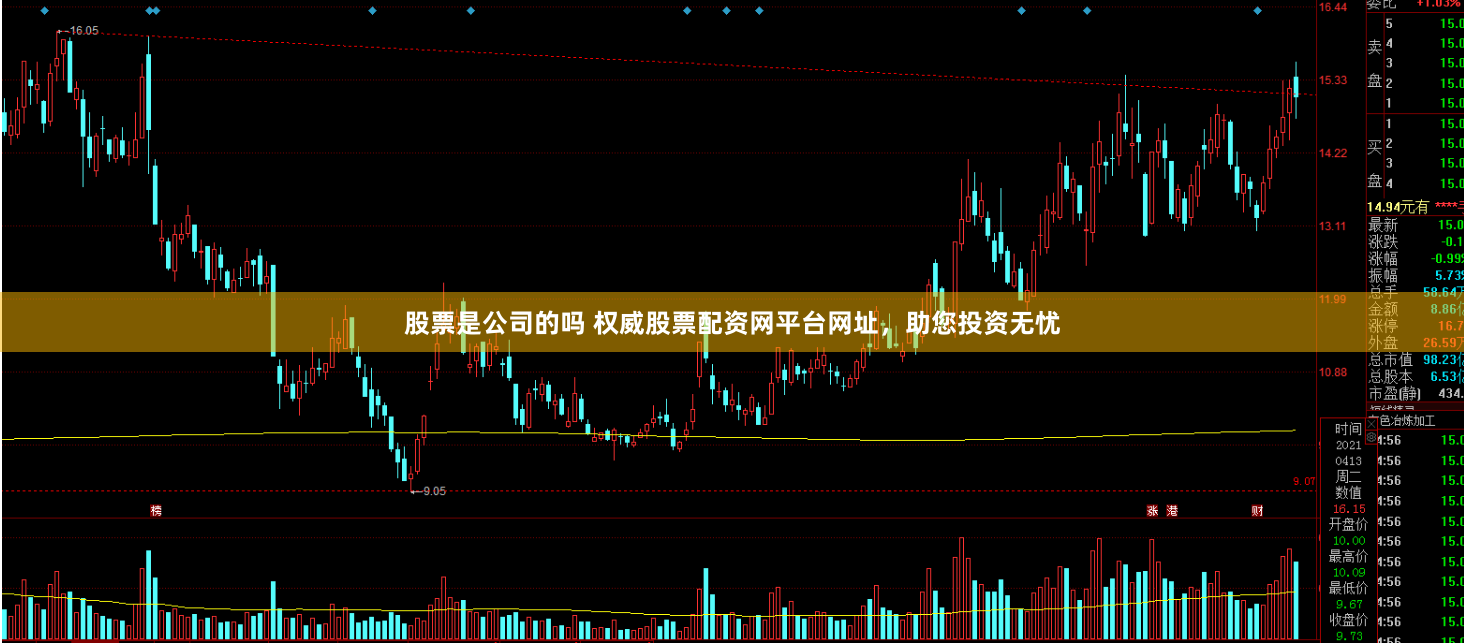 股票是公司的吗 权威股票配资网平台网址，助您投资无忧